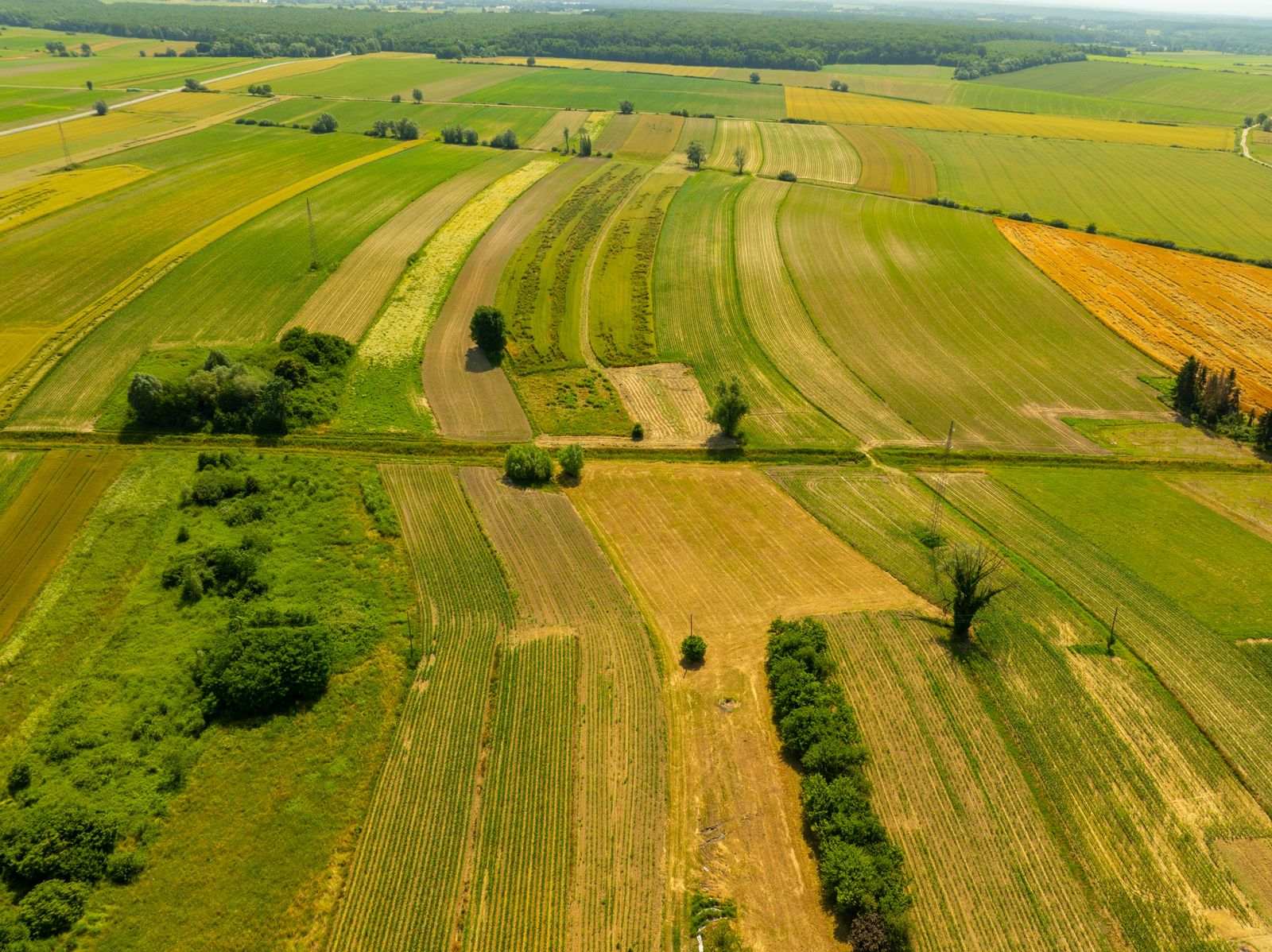 Luftaufnahme von Baugrundstücken und Bauland in Deutschland